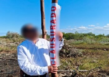 Profepa clausura 5,749 m² de manglar ilegalmente lotificados en Progreso