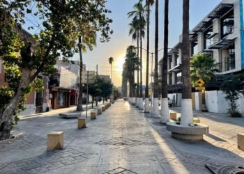 Pronóstico del clima Torreón 28 de enero: Alerta por heladas y refugios activos