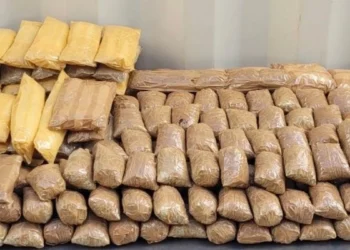 Ruta Sonora-Baja California: la millonaria incautación de fentanilo y metanfetamina en la frontera