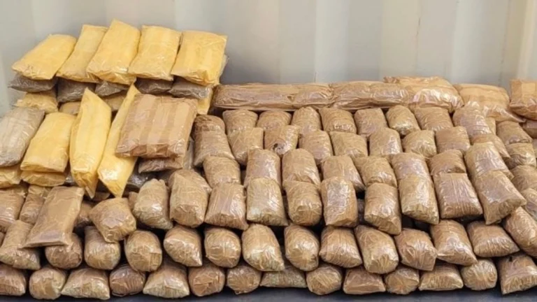 Ruta Sonora-Baja California: la millonaria incautación de fentanilo y metanfetamina en la frontera