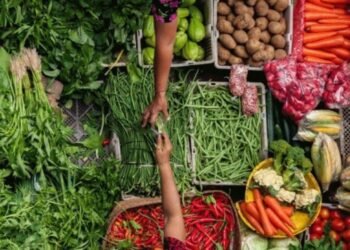 | VISIÓN INTERCULTURAL | Bienvenidos al 2026. Retos y oportunidades