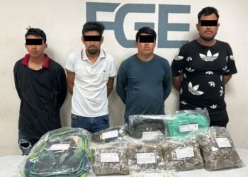 Caen 7 narcomenudistas en Cancún, Isla Mujeres y Puerto Morelos