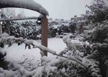 Tercera tormenta invernal: Impacto severo y alertas por -20 °C en México