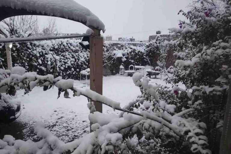 Tercera tormenta invernal: Impacto severo y alertas por -20 °C en México