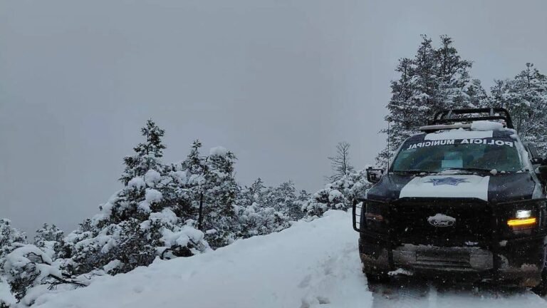 Tercera tormenta invernal en Durango: Alerta máxima por -15°C y lluvia engelante