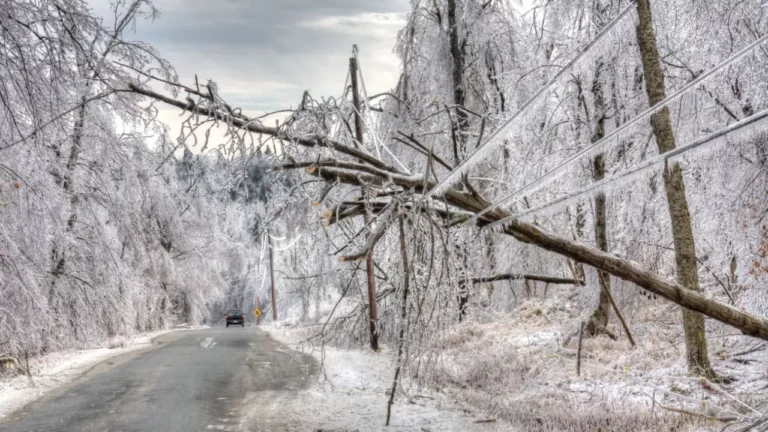 Tercera tormenta invernal paraliza Chihuahua y Durango en enero de 2026