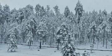 Tercera tormenta invernal y frente frío 30: pronóstico y riesgos en Chihuahua