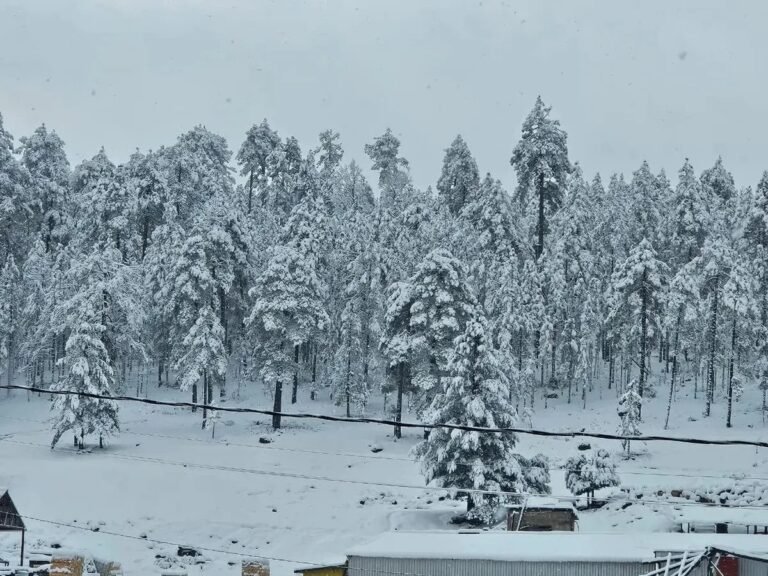 Tercera tormenta invernal y frente frío 30: pronóstico y riesgos en Chihuahua