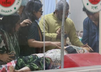 Virus Nipah en India: ¿por qué la OMS lo clasifica como amenaza prioritaria?