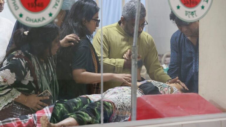 Virus Nipah en India: ¿por qué la OMS lo clasifica como amenaza prioritaria?