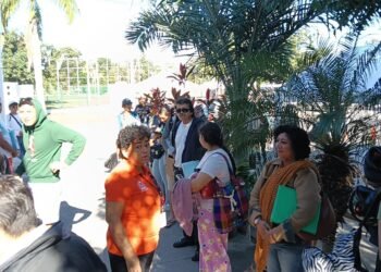 Canje de placas 2026 en Quintana Roo inicia con nuevo requisito fiscal