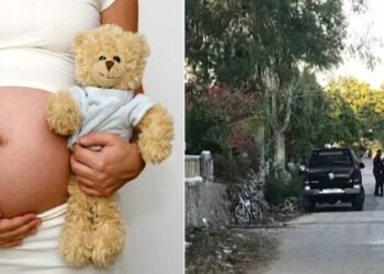 | CAMINOS DEL MAYAB | Atención a las causas