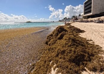 Foto: Francisco y Alex Barba/Facebook