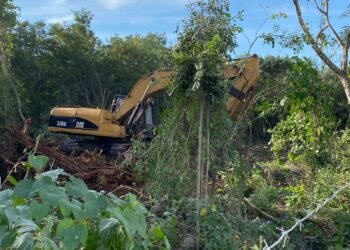 DESMONTE EN PDC: Confirma municipio que predio cuenta con autorización ambiental y MIA
