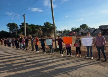 TALA EN REGIÓN 93: Clausura Ecología predio tras denuncias vecinales