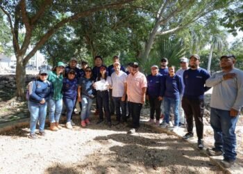 CANCÚN: Avanza restauración del Jardín Medicinal Maya en el Jardín Botánico