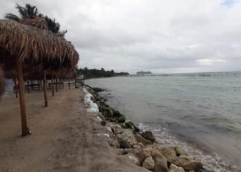 SARGAZO: Reporta Mahahual disminución en el arribo y mejora en imagen turística