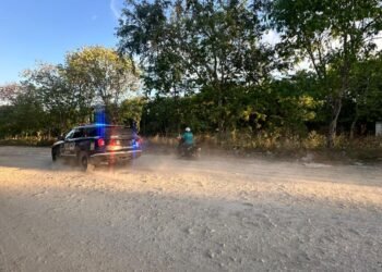 Hallan dos cuerpos en estado de descomposición en Playa del Carmen