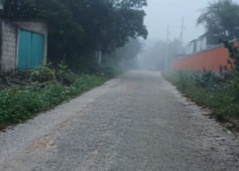 Denuncian una serie de envenenamientos de perros en José María Morelos