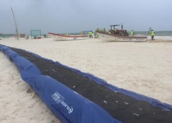 SARGAZO ANTICIPADO: Instalan barreras en Mahahual; avance supera 60% del litoral protegido