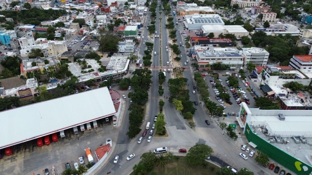 photo 5757875883812260624 y