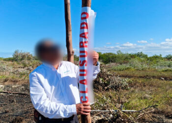 Profepa clausura 5,749 m² de manglar ilegalmente lotificados en Progreso