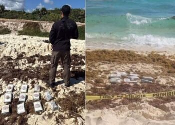 CERCA DE PLAYACAR: Recalan 11 “ladrillos” de cocaína en Playa del Carmen