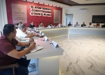 | ALTAVOZ | Reforma electoral: ¿Para qué tantos regidores?