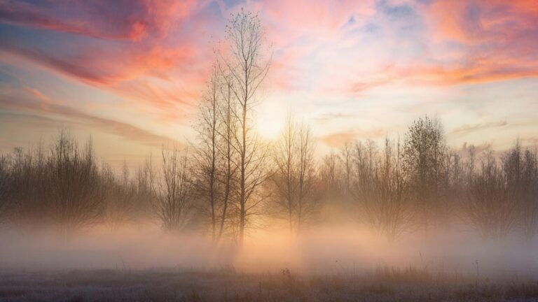 El invierno no cede: El frente frío 32 se va, pero el 33 ya tiene fecha de entrada
