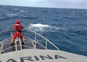 ENTRE CANCÚN E IM: Se hunde embarcación con 3 tripulantes; salen ilesos