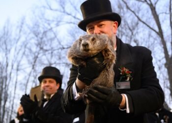 La verdad detrás de Punxsutawney Phil y por qué la ciencia lo desmiente cada 2 de febrero