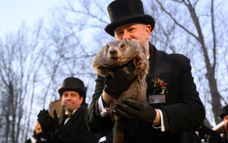 La verdad detrás de Punxsutawney Phil y por qué la ciencia lo desmiente cada 2 de febrero