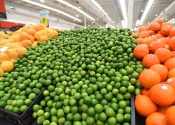 Martes de Frescura Walmart: Ofertas 24 de febrero y estrategia comercial