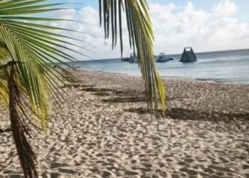 “DEFIENDE A PLAYA MIA”: Convocan a manifestarse contra privatización de balneario en Cozumel 2 “DEFIENDE A PLAYA MIA”: Convocan a manifestarse contra privatización de balneario en Cozumel