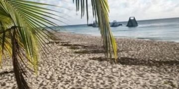 “DEFIENDE A PLAYA MIA”: Convocan a manifestarse contra privatización de balneario en Cozumel