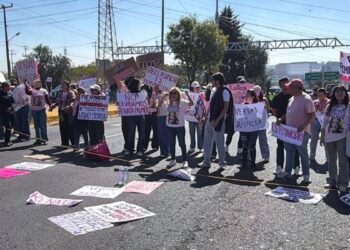 Renata Palmer: La presión social exige reclasificación en Zona Esmeralda 2 Renata Palmer: La presión social exige reclasificación en Zona Esmeralda