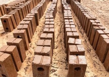 CON SARGAZO: Desarrollan material de construcción que reduce hasta 7 grados la temperatura interior