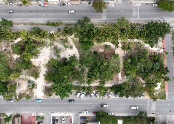 Construyen Jardín Medicinal Maya en el Parque de la Equidad (GALERÍA)