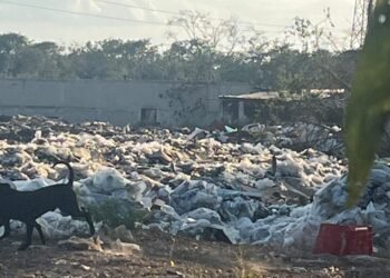Basurero a cielo abierto en la carretera Cancún–Leona Vicario: foco de riesgo sanitario y ambiental