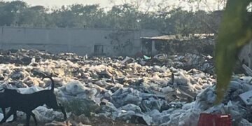 Basurero a cielo abierto en la carretera Cancún–Leona Vicario: foco de riesgo sanitario y ambiental