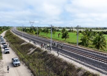 Expropian, por segunda vez, el ejido «El Palmar» para el Tren Maya