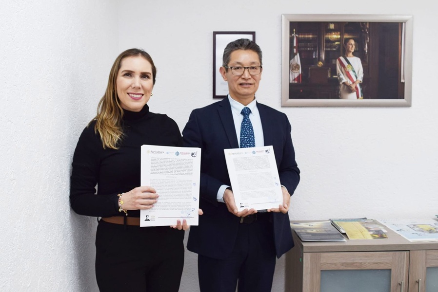 Firman convenio Isla Mujeres e IMIPAS para la conservación de tortugas ...
