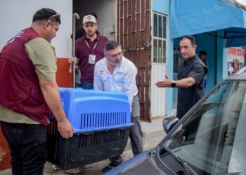 Rescatan perro abandonado en la Supermanzana 223