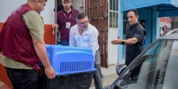 Rescatan perro abandonado en la Supermanzana 223