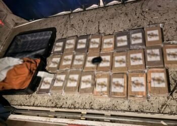 EN UNA MALETA: Aseguran 25 paquetes de cocaína en el aeropuerto de Cancún