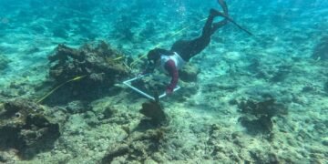 ARRECIFES COSTEROS: Mantiene Zofemat monitoreo en Playa 88 y Punta Esmeralda