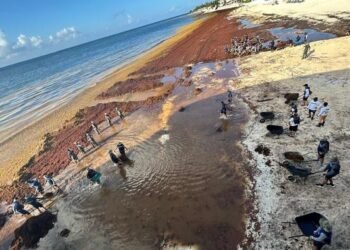 SARGAZO EN QR: Reconoce Sheinbaum estrategia para contener la arribazón