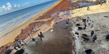 SARGAZO EN QR: Reconoce Sheinbaum estrategia para contener la arribazón