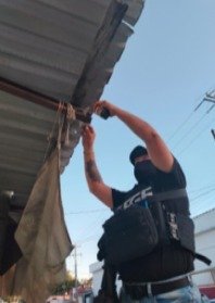 WhatsApp Image 2026 02 20 at 12.44.29 PM 3