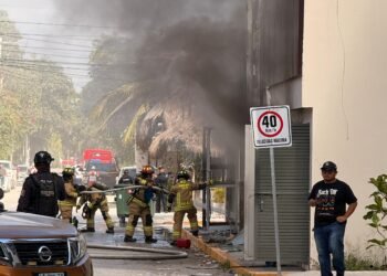 Incendian establecimiento en la colonia La Veleta en Tulum 3 Incendian establecimiento en la colonia La Veleta en Tulum